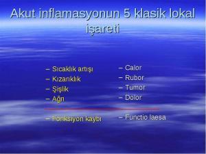 Bağışıklık Sistemiyle İlgili İlginç Bilgiler