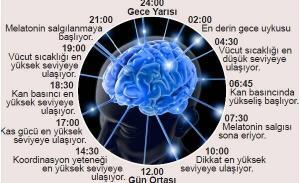 Vücudun İç Saati Genel Sağlığı Nasıl  Etkiler?