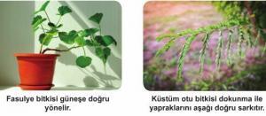 Canlıların Ortak Karakteristik Özellikleri