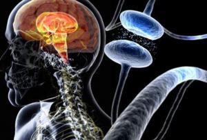 Sindirim Sistemi ve Parkinson Hastalığı: Olası Bir Bağlantı