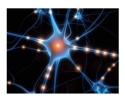 Nöropeptitler Nedir?