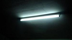 Floresan Işıkları Sağlığımızı Nasıl Etkiler?