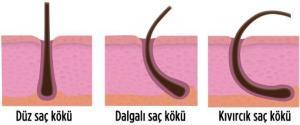 Saç Folikülleri Nasıl Çalışır?