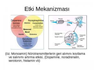 Sinapslarda Sinirsel İletim