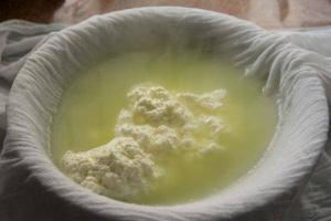 Çökelek ya da Köy Peyniri Sağlıklı mıdır?