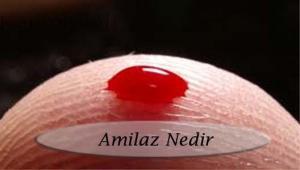 Amilaz Kan Testi Nedir? Bu Testin Yapılmasına Niçin İhtiyaç Duyulur?
