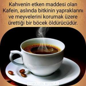 Bilim Diyor ki: Kafein Böcekleri Öldürüyor