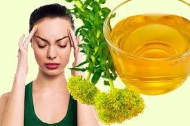 Altın Kök (Rhodiola Rosea) Bitkisinin Kullanım Alanları ve Faydaları