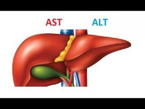ALT: Alanin Aminotransferaz Nedir?
