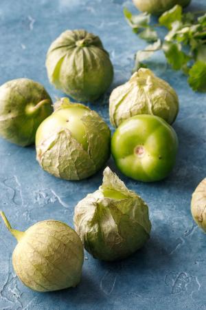 Patlıcangiller (Solanaceae)  Familyası Sebzeleri Tehlikeli midir?