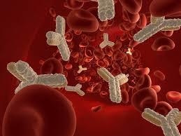 Antifosfolipid Sendromu ve Tedavisi