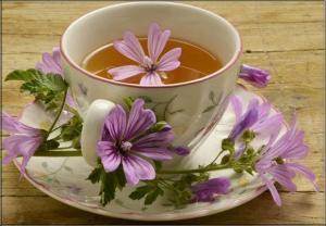 Ebegümecinin (Malva sylvestris) Faydaları ve Kullanım Şekilleri