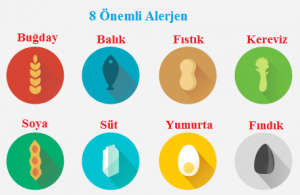 Gıda Alerjileri, Tetikleyicileri ve Alerjinin Yönetimi