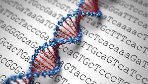 Genetik Test İle Gelecekteki Sağlığımızı Tahmin Edebilir miyiz?