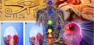 Pineal Gland Nedir?  İşlevleri Nelerdir?