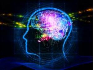 Pineal Gland Nedir?  İşlevleri Nelerdir?