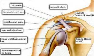 Omuz Ağrısı ve Oluşturduğu Sorunlar