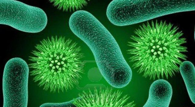 Bakterilerin Soyu Tükenir mi?