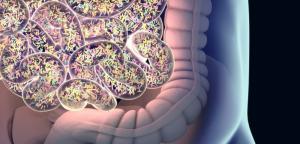 Parkinson Hastalığı ve Bakteriyofajlar Arasında Bağlantı Var mıdır?
