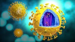 İnsan Bağışıklık Yetmezlik Virüsü (HIV)