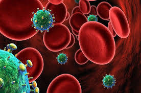 İnsan Bağışıklık Yetmezlik Virüsü (HIV)