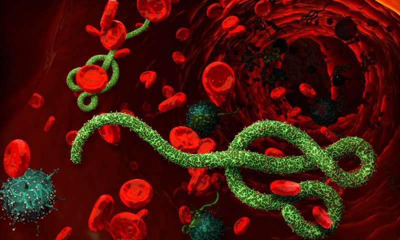 Şiddetli Akut Solunum Yetmezliği Sendromu (SARS) ve Ebola