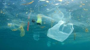 Plastik Kirliliğinin Oksijen Üreten Bakterilere Etkisi