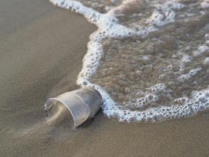 Plastik Kirliliğinin Oksijen Üreten Bakterilere Etkisi