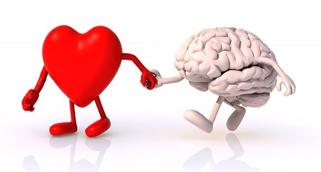 Beynin Hangi Bölümü Duyguları Kontrol Eder?