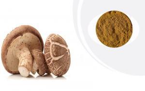 Shiitake (Şitaki) Mantarı ve Faydaları