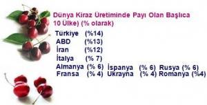 Neden Daha Fazla Kiraz Yemeliyiz?