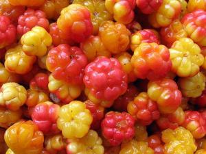 Cloudberry Meyvesi ve Sağlığa Faydaları
