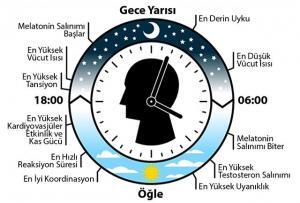 Melatonin Hormonu ve Takviyelerinin İnanılmaz Faydaları
