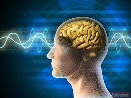 Beynin Hangi Bölümü Konuşmayı Kontrol Eder?