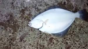 Potasyum Bakımından Zengin 14 Besin