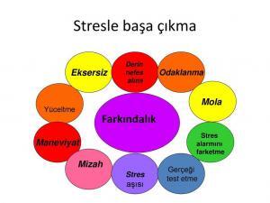 Stresle İlgili 10 Gerçek