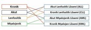 Lösemi Türleri Nelerdir?