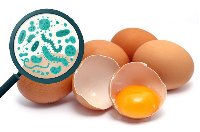 Çiğ Yumurta Tüketmek Zararlı mıdır?