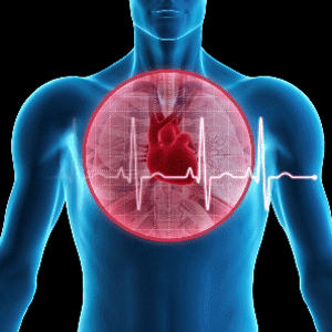 Aritmi (Kalp Ritim Bozuklukları) Nedir?