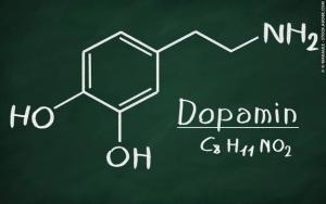Dopamin Nedir, Nerede Üretilir, Ne İşe Yarar?