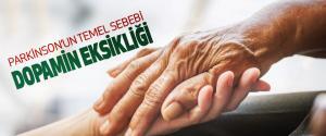 Dopamin Nedir, Nerede Üretilir, Ne İşe Yarar?