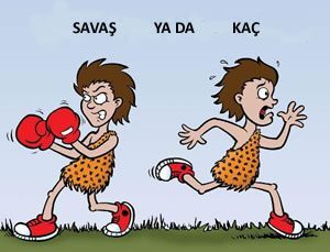 Stres Sağlığımızı Nasıl Etkiler?