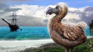 Dodo Kuşlarının Yok Oluş Nedenleri ve Yeniden Üretim Çabaları