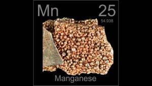 Manganez (Mangan) Eksikliği, Belirtileri ve Çözümler