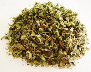 Damiana Bitkisinin Sağlığa Faydaları
