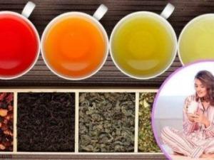 Damiana Bitkisinin Sağlığa Faydaları