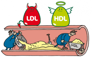 HDL ve LDL Kolesterol Arasındaki Fark Nedir?