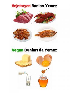 Veganlar İçin En İyi 10 Probiyotik Besin