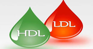 HDL ve LDL Kolesterol Arasındaki Fark Nedir?