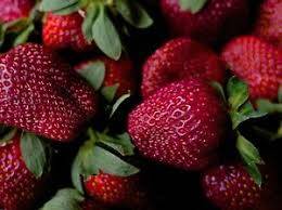 Fisetin Nedir?